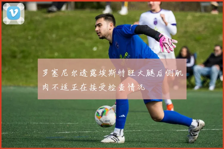 罗塞尼尔透露埃斯特旺大腿后侧肌肉不适正在接受检查情况